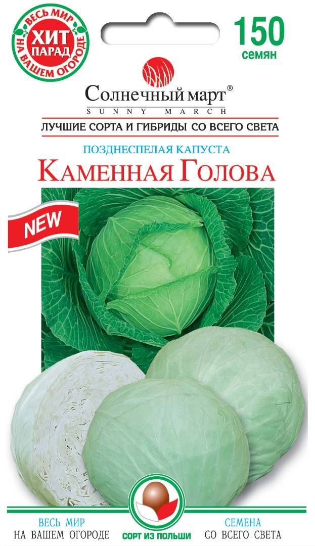 Капуста Кам'яна голова